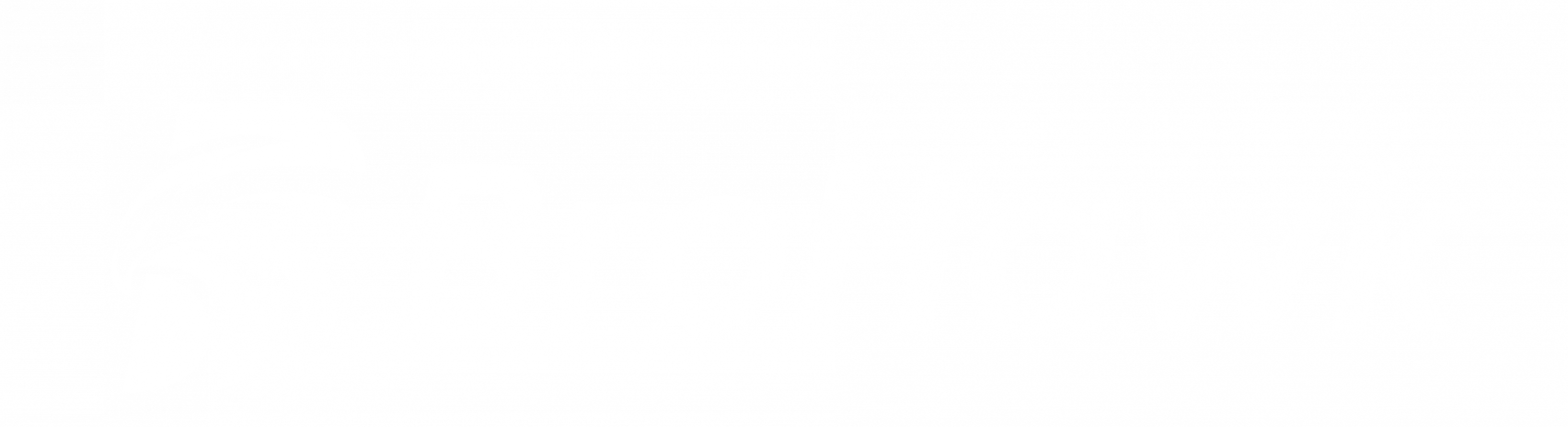 BroHawk Books